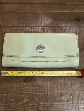 Hype Mint Green Leather Wallet, Multiple Compartments